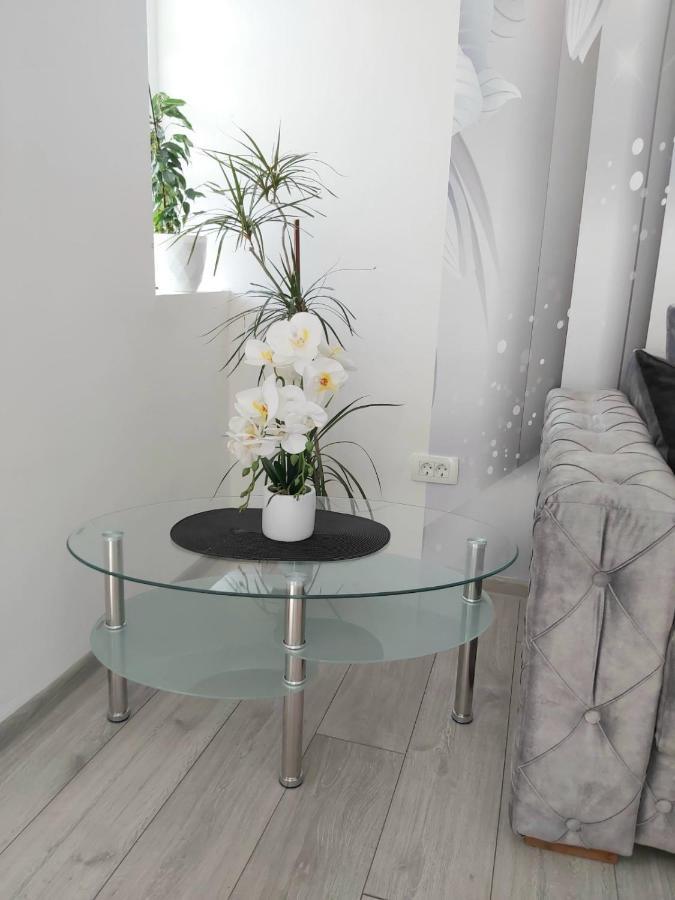 Apartment Marina 2 Kotor Bagian luar foto