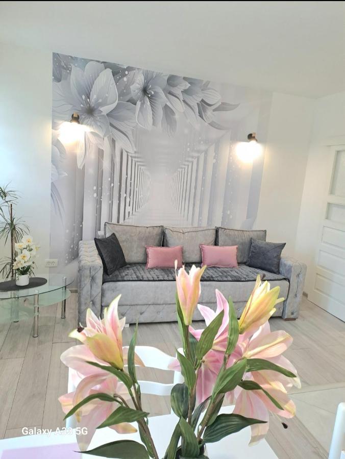 Apartment Marina 2 Kotor Bagian luar foto